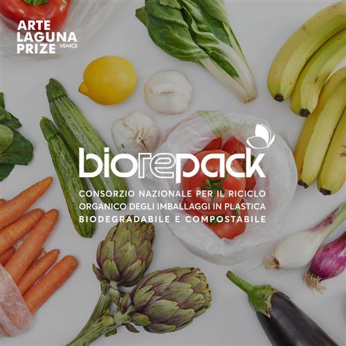 Biorepack partner di Arte Laguna Prize per promuovere arte e sostenibilità